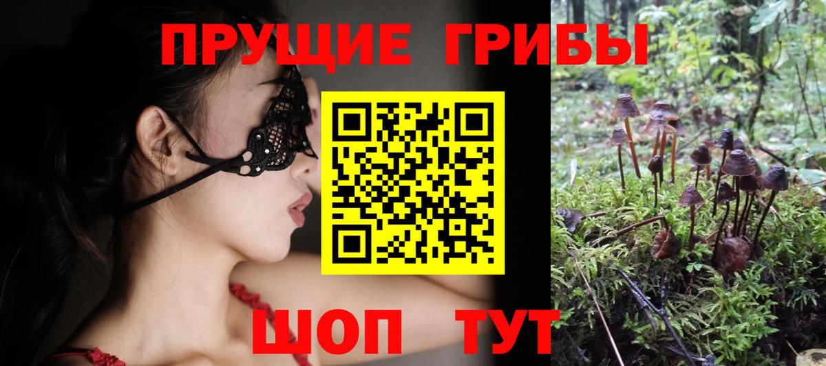 Псилоцибиновые грибы Magic Shrooms Каменск-Шахтинский