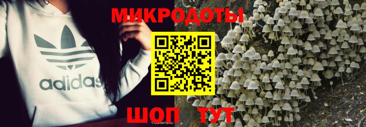 Галлюциногенные грибы MAGIC MUSHROOMS  Псилоцибиновые грибы Psilocybe  Каменск-Шахтинский  Вход с VPN 